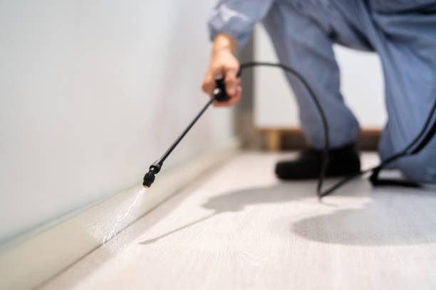 Licensed Cockroach Control service in Spencer, TN - Nex Pest Control