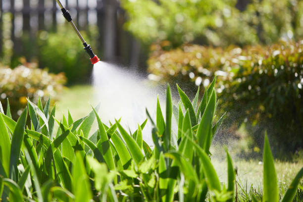 24/7 Emergency Cockroach Control experts in Spencer, TN