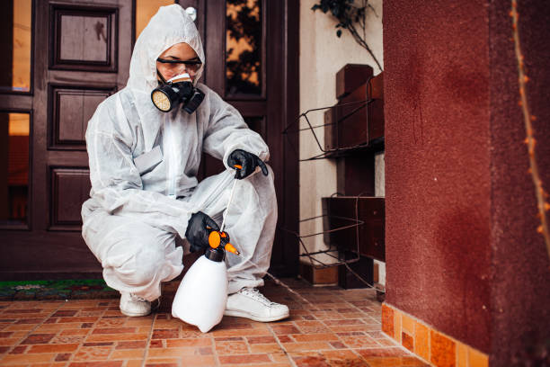 Reliable Cockroach Control contractor in Spencer, TN by Nex Pest Control